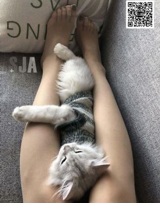 国产裸体模特在线观看视频_BD迅雷电影在线